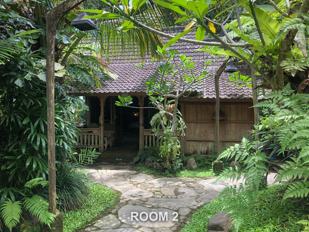 Sweet Orange Pondok Ubud Zewnętrze zdjęcie