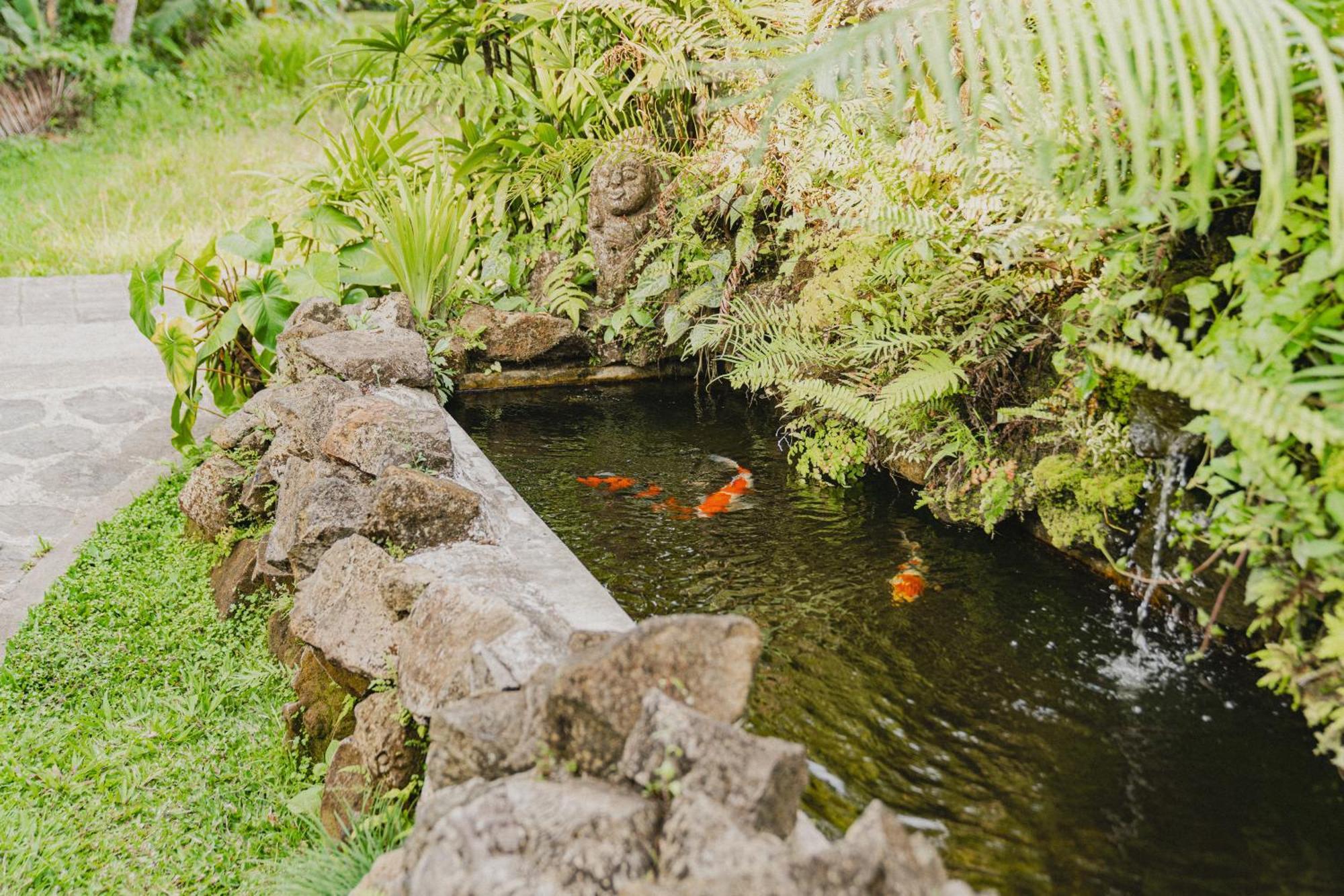 Sweet Orange Pondok Ubud Zewnętrze zdjęcie